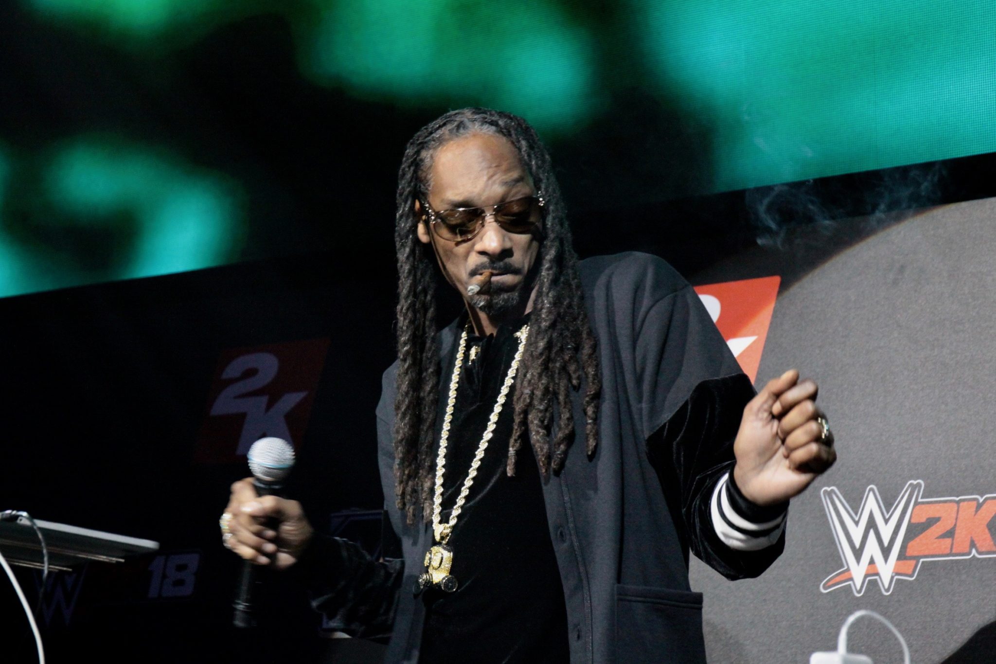 Snoop Dogg live in concert